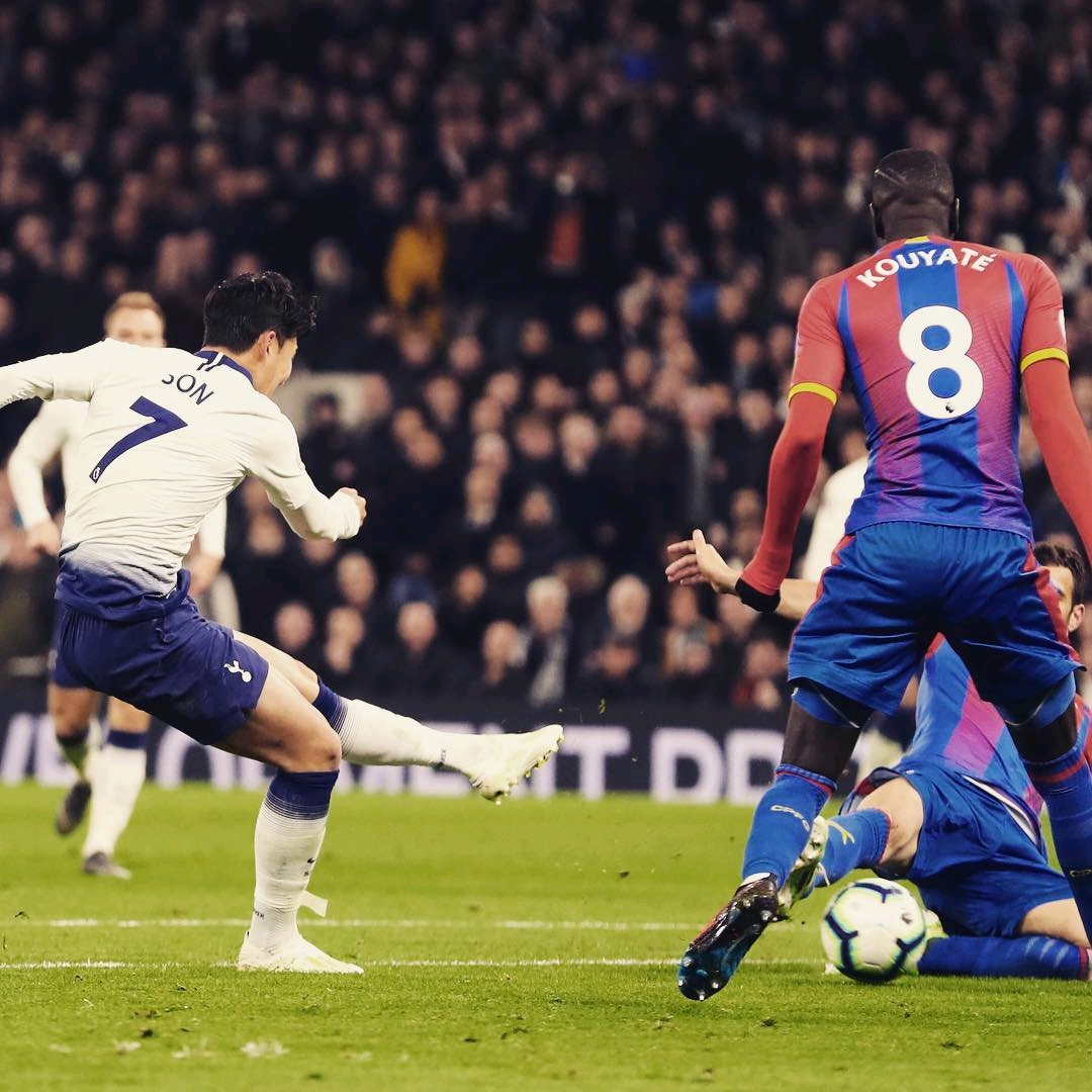 萨沃纳这种 萨沃纳这种